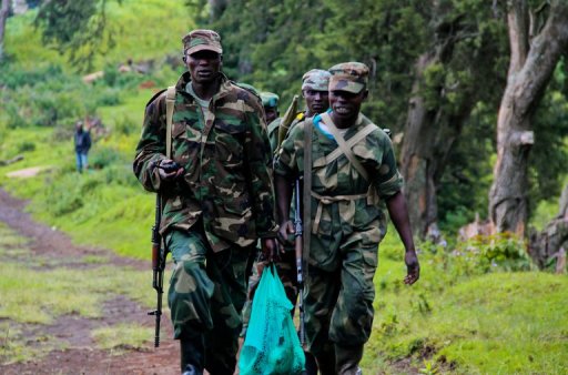 M23 rebels patrol in North Kivu, eastern Democratic Republic of the Congo (AFP Photo)