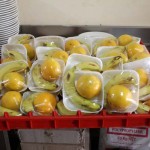 Lunch is prepared for the national team at the training ground in 6 October City Rachel Adams/ DNE