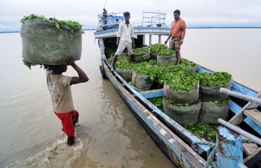Assam has been flooded three times in the last four months by the Brahmaputra River AFP, Biju Boro