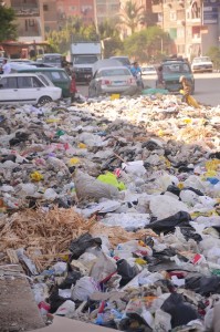 Refuse builds up by the side of the road Hassan Ibrahim / DNE