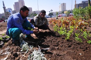 Workers renovate Tahrir Square Hassan Ibrahim / DNE
