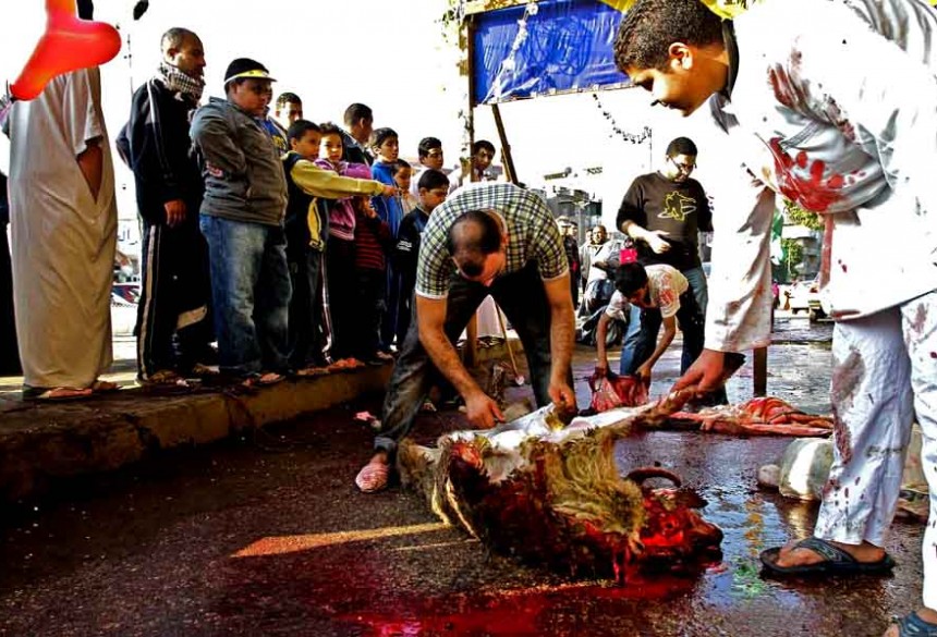 An animal is ritually slaughtered during celebrations for Eid Al-Adha (Photo by Hassan Ibrahim)