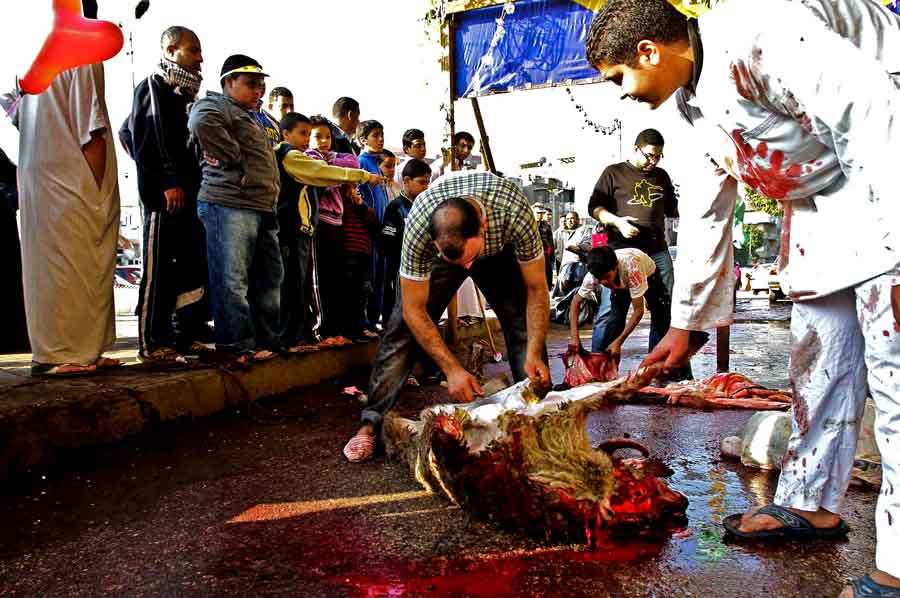 An animal is ritually slaughtered during celebrations for Eid Al-Adha (Photo by Hassan Ibrahim)