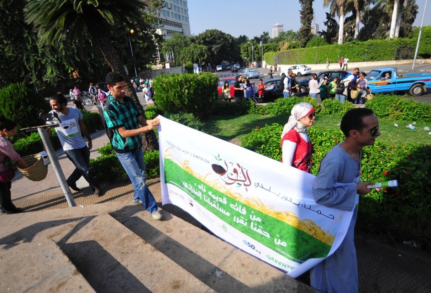 Bozoor Balady Campaign in Cairo Hassan Ibrahim / DNE