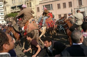 Camels charging at protesters in Tahrir square on 2 Feb 2011.   (AFP/ File photo)