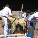 Police officers remove the carts and stalls of street vendors during an operation along the Nile cornice Mohamed Omar