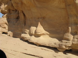 The camel faces in the rocks at Ain Khudra 'Lady' Colleen Heller
