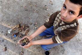 A child shows bullet cartridges after Saturday's clashes in Ras A l-Ain. (AFP / FILE PHOTO / BULENY KILIC)