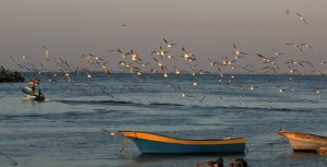 Fishing boats lie in the water off the coast of Gaza AFP Photo / Mahmud Hams 