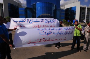 Nile University students protest the original decision to award lands to the Zewail Science City in January 2013 (DNE/ File photo/ Hassan Ibrahim) 