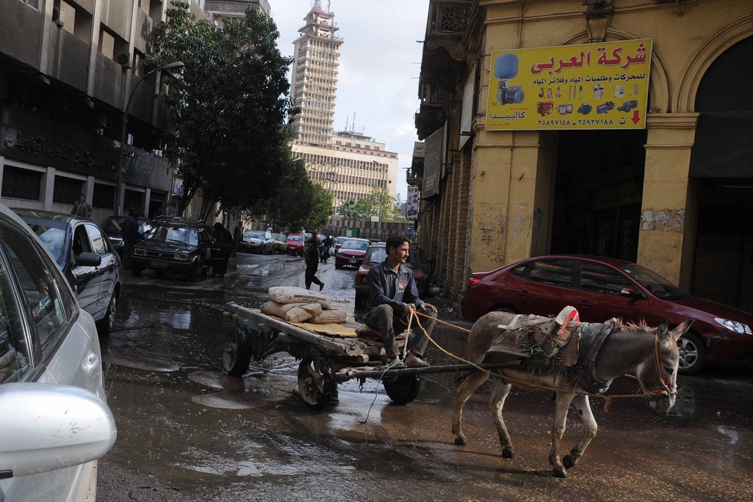 Donkey cart is unfased by the flooded street close to Maspero Ahmed Almalky