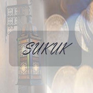 Sukuk is expected to finance needed investments, says official