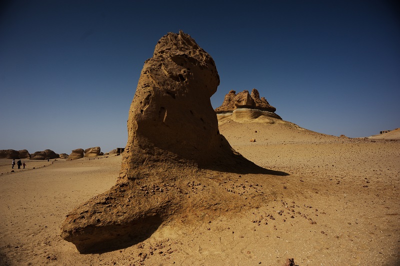 Al Fayoum desert camping trip Wadi Hitan