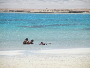 Low Marsa Alam hotel occupancy threatens EGP 15bn investments (DNE File Photo)