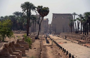 The Luxor Tourist Police has confirmed that a stagecoach driver strike taking place in front of the Karnak temple in Luxor (above) has officially ended  (AFP Photo) 
