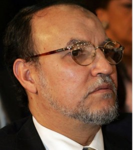 Vice chairman of the Freedom and Justice Party Essam El-Erian (AFP File Photo)