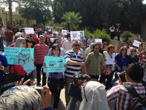 Artists marched on Tuesday demanding the removal of newly appointed Minister of Culture  (Photo by Nourhan Dakroury) 