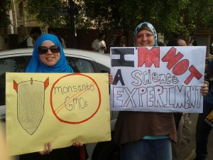 Protesters by the ministry of agriculture demonstrating against multinational conglomerate Monsanto  (Photo By Luiz Sanchez ) 