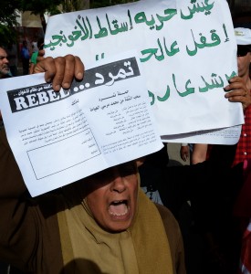 The Tamarod campaign said on Wednesday that they are nearing their goal of gathering 15 million signatures on a petition withdrawing confidence from President Mohamed Morsi. (DNE File Photo)